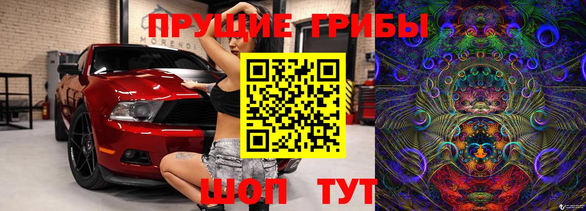 Псилоцибиновые грибы GOLDEN TEACHER Дивногорск