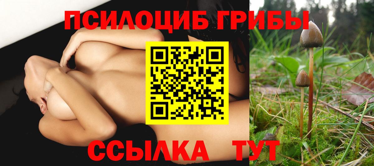 Галлюциногенные грибы Psilocybine cubensis  Вход с VPN  купить наркотик  Дивногорск 