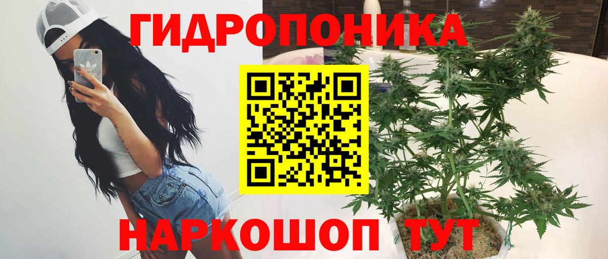 МАРИХУАНА конопля  Каннабис SATIVA & INDICA  Вход с VPN  Дивногорск  Конопля AK-47 